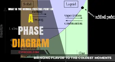 Understanding the Normal Freezing Point on a Phase Diagram