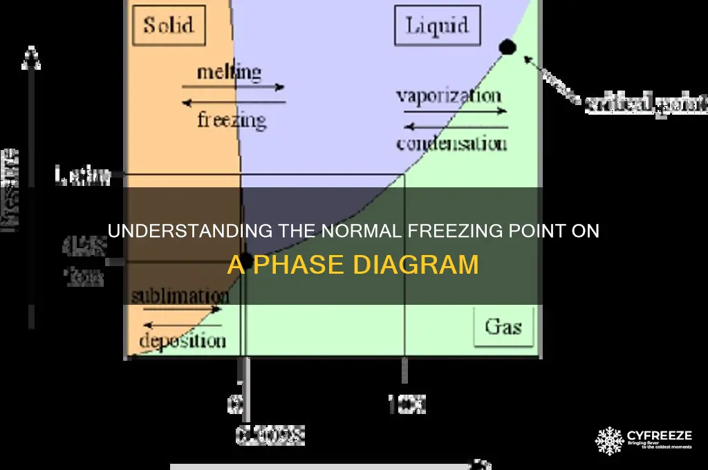 what is the normal freezing point on a phase diagram