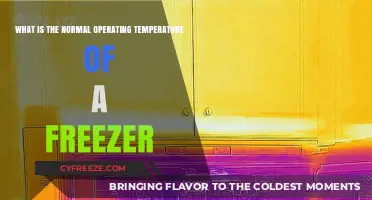 Optimal Freezer Temperature: What’s Normal for Efficient Operation?