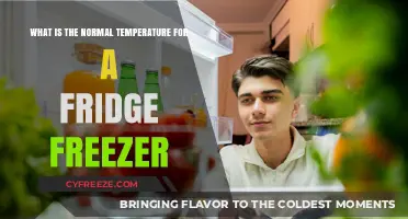 Optimal Fridge Freezer Temperature Guide: Keep Food Fresh and Safe