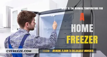 Ideal Home Freezer Temperature: What’s Normal for Food Safety?