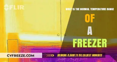 Understanding the Ideal Freezer Temperature Range for Food Safety