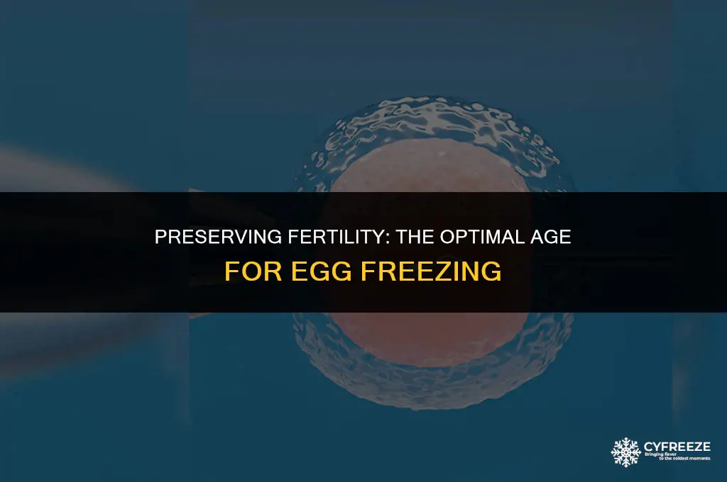 what is the oldest age to freeze eggs