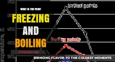 Understanding Freezing and Boiling Points: Key Concepts in Thermodynamics