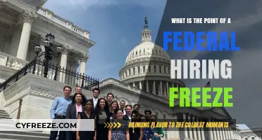 Understanding the Purpose and Impact of Federal Hiring Freezes