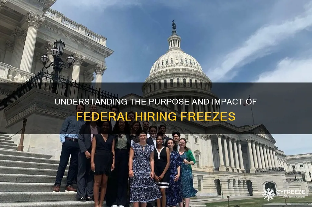 what is the point of a federal hiring freeze