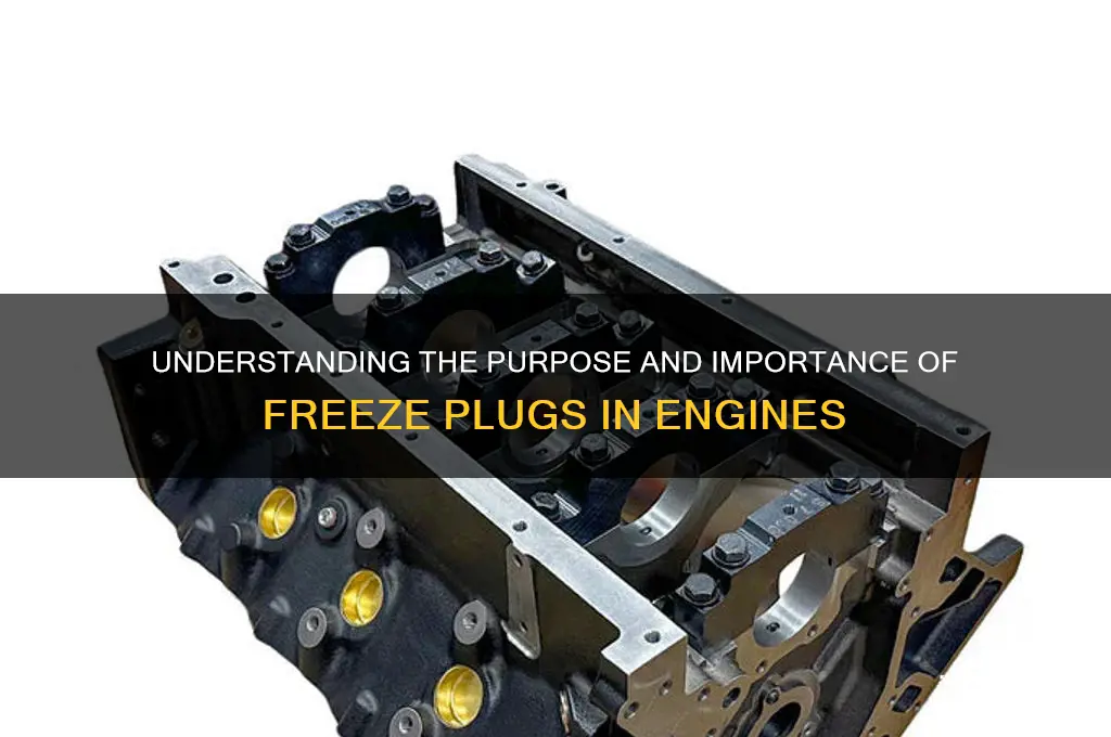 what is the point of a freeze plug