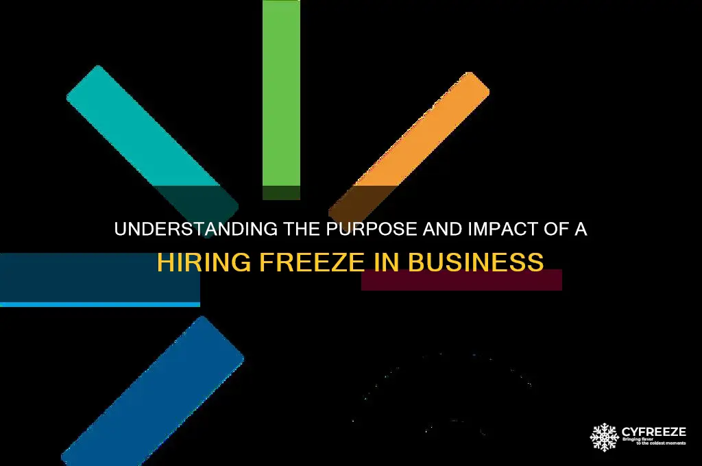 what is the point of a hiring freeze