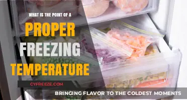 Mastering Food Preservation: The Importance of Proper Freezing Temperatures