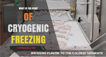 Cryogenic Freezing: Exploring the Science and Potential of Preservation