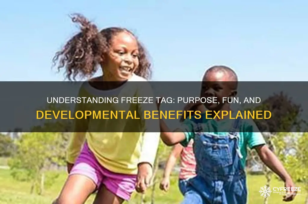 what is the point of freeze tag