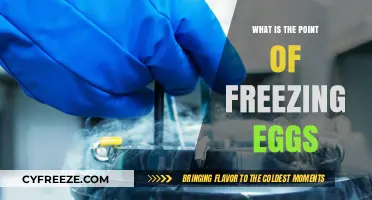 Freezing Eggs: Empowering Women's Fertility Choices for Future Family Planning