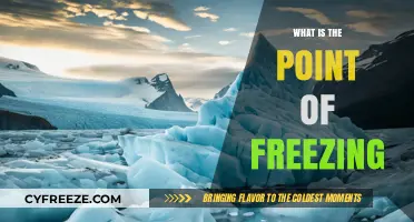 Unlocking the Science: Why Freezing Matters in Food and Beyond