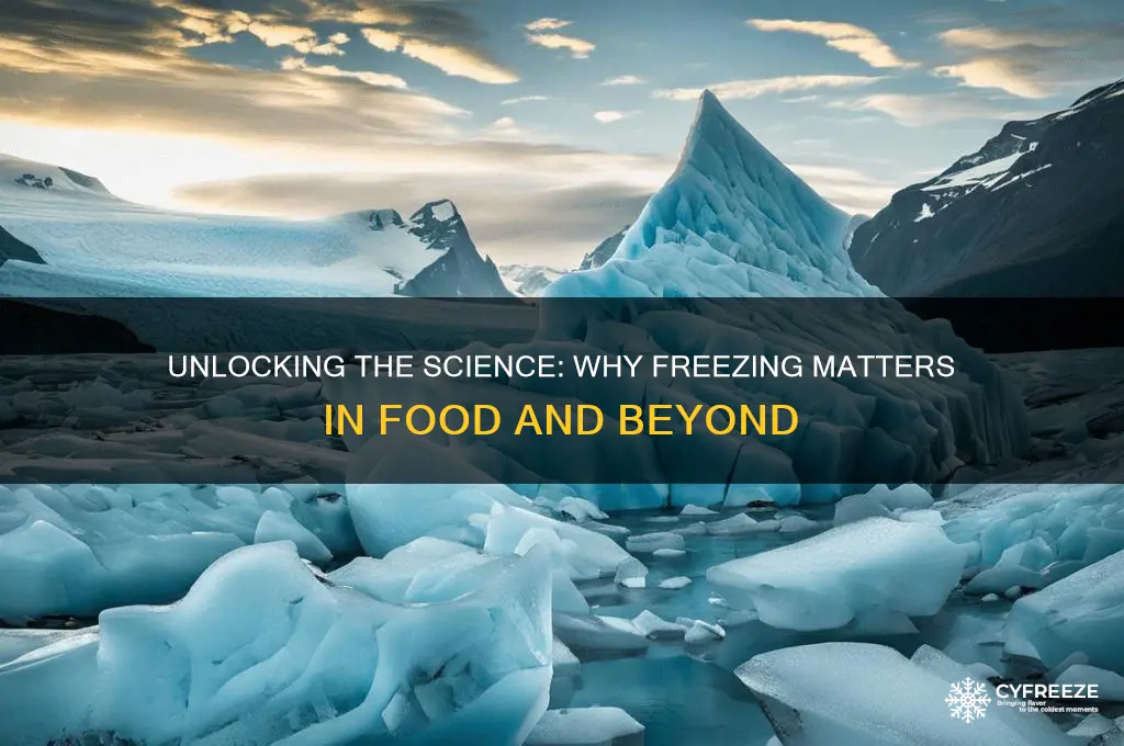 what is the point of freezing