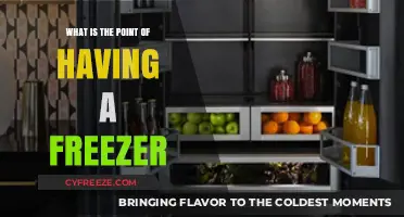 Why Every Kitchen Needs a Freezer: Benefits and Uses