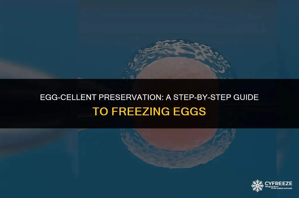 what is the procedure for freezing eggs food
