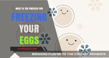 Egg Freezing Explained: A Step-by-Step Guide to Preserving Fertility