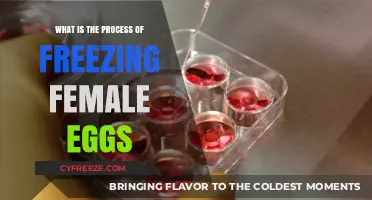 Preserving Fertility: A Guide to the Female Egg Freezing Process