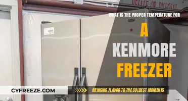 Optimal Kenmore Freezer Temperature: A Guide to Proper Storage