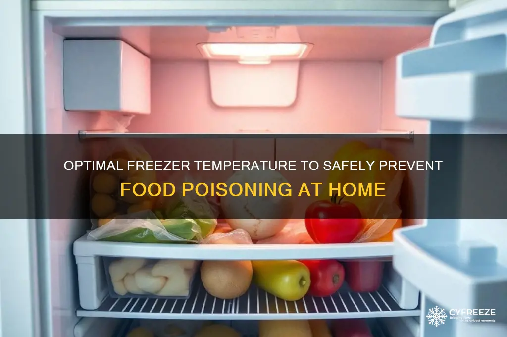 what is the recommended freezer temperature for preventing food poisoning