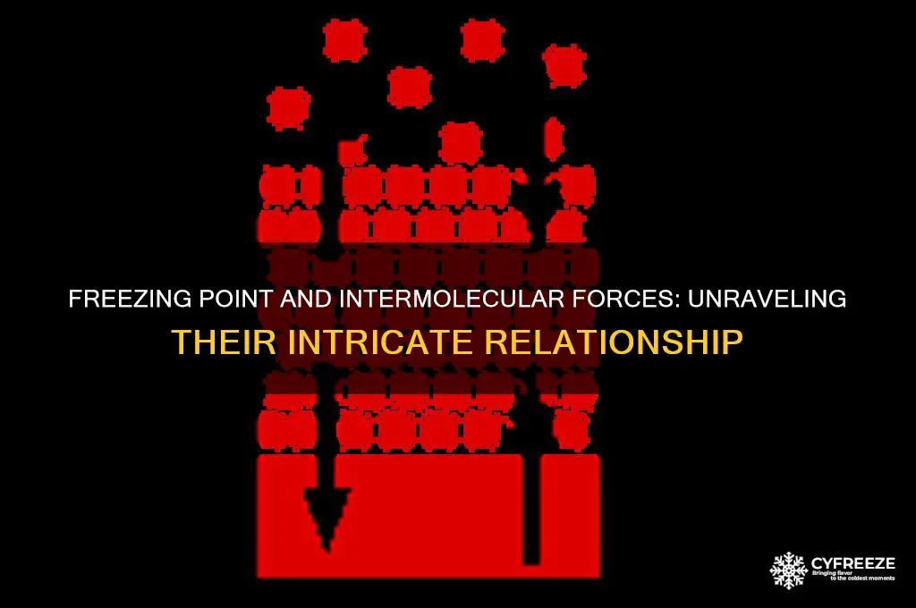 what is the relationship between freezing point and intermollecular forcer