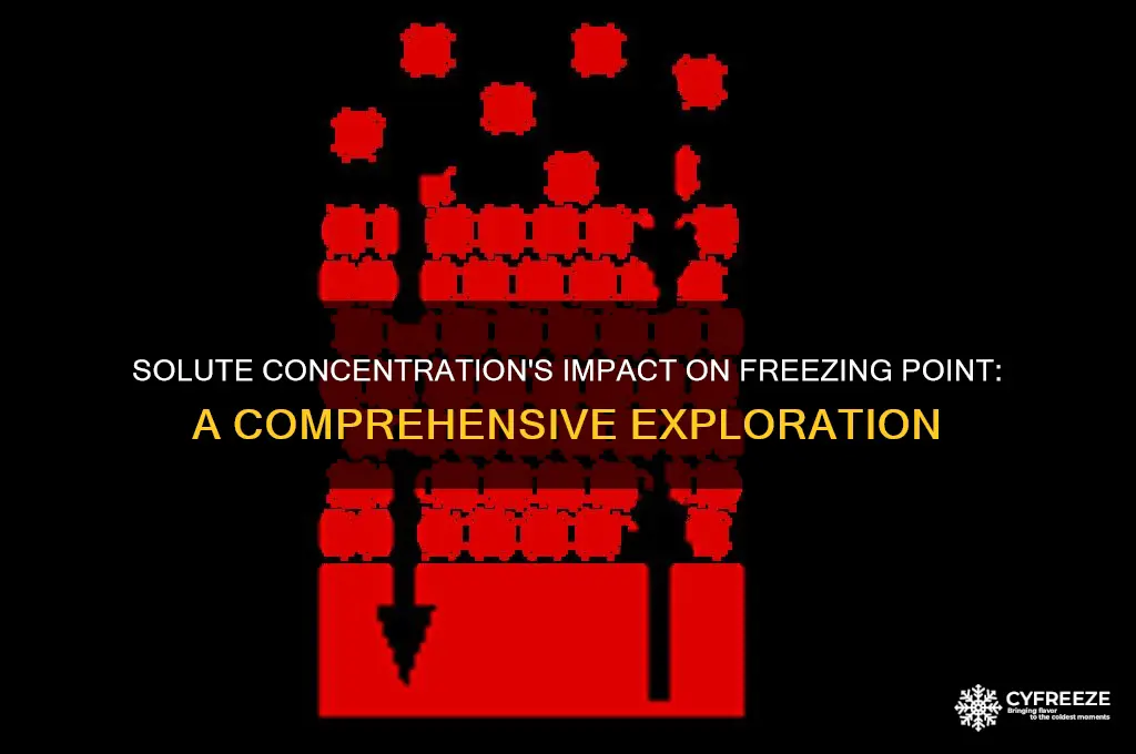 what is the relationship between solute concentration and freezing point