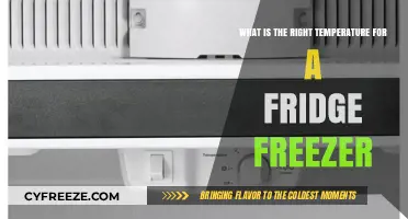 Optimal Fridge Freezer Temperature Guide: Keep Food Fresh and Safe