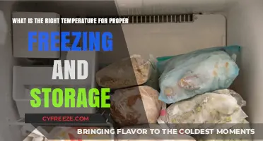 Optimal Freezing and Storage: Mastering the Right Temperature for Food Preservation