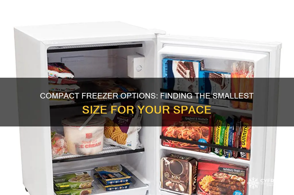 what is the smallest freezer you can get