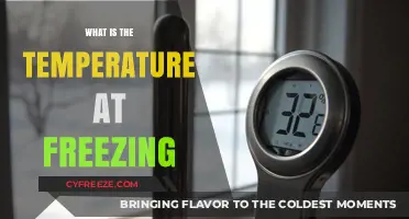 Understanding Freezing Point: What Temperature Does Water Freeze?