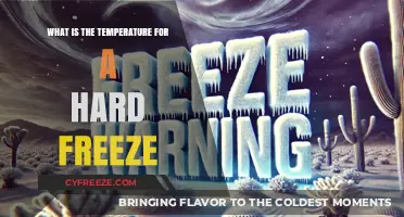 Understanding Hard Freeze Temperatures: When Does It Get That Cold?