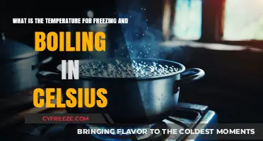 Celsius Scale Basics: Freezing and Boiling Points Explained