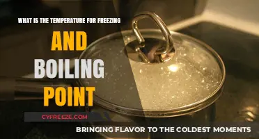 Freezing and Boiling Points: Understanding Temperature Extremes in Science