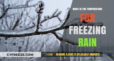 Understanding Freezing Rain: Temperature Conditions and Formation Explained