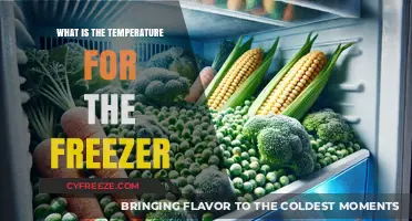 Optimal Freezer Temperature: Preserving Food Safely and Efficiently