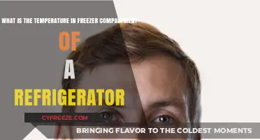 Optimal Freezer Temperature: A Guide to Refrigerator Compartment Settings