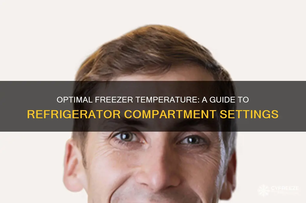what is the temperature in freezer compartment of a refrigerator