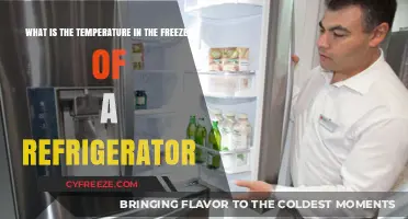 Understanding the Ideal Freezer Temperature for Optimal Food Preservation