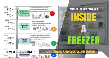 Understanding the Ideal Temperature Inside Your Freezer for Food Safety