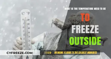Understanding the Exact Temperature Required for Outdoor Freezing Conditions