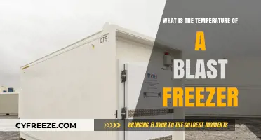 Blast Freezer Temperature: Understanding the Extreme Cold Required for Rapid Freezing