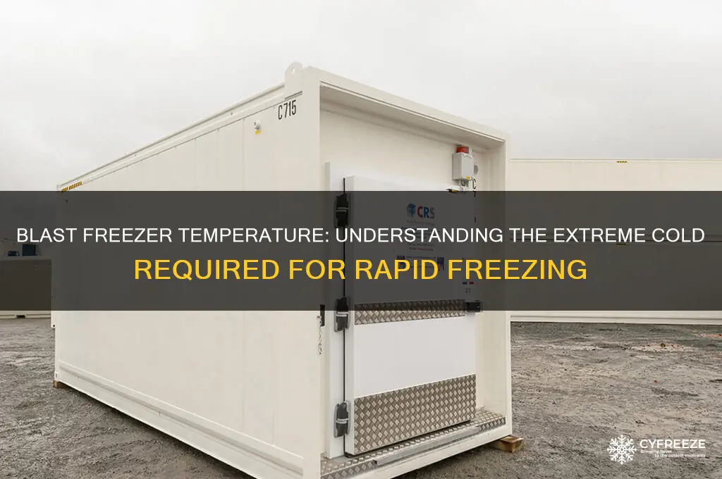 what is the temperature of a blast freezer
