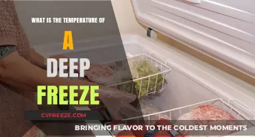 Deep Freeze Temperatures: Understanding Optimal Cold Storage Conditions