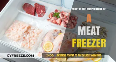 Optimal Meat Freezer Temperature: A Guide to Safe Food Storage