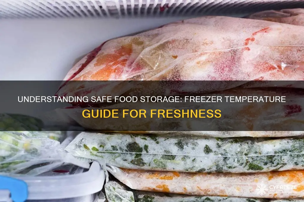 what is the temperature of food in a freezer