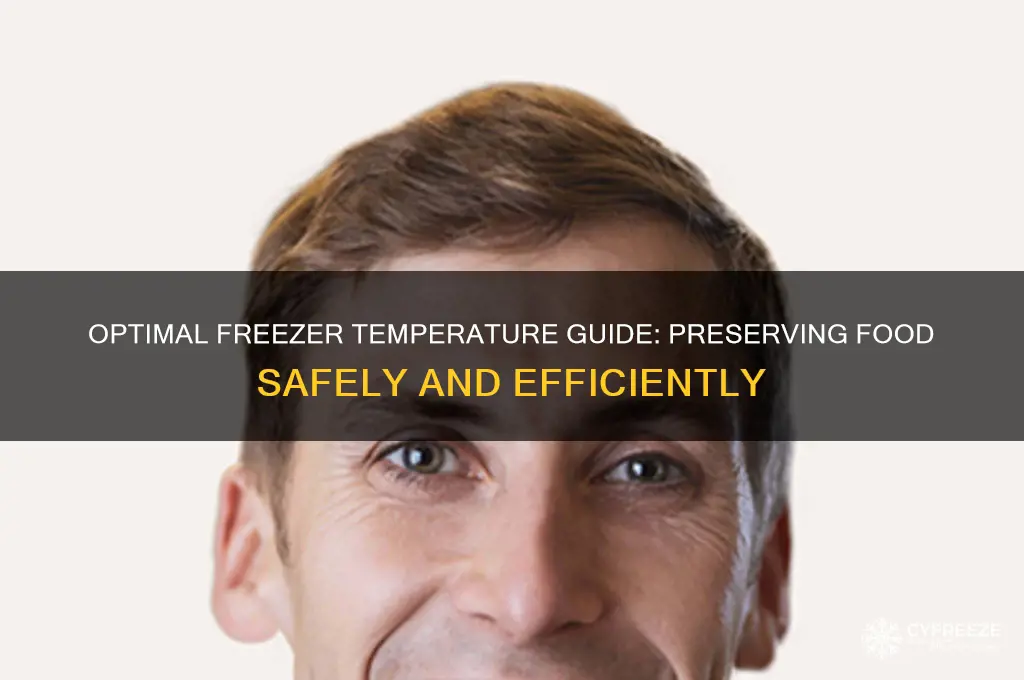 what is the temperature of the freezer