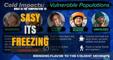Understanding Freezing Temperatures: When Does It Officially Freeze?