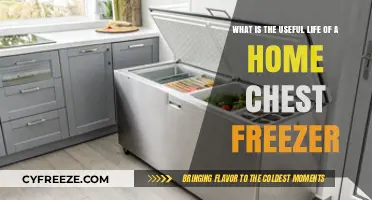 Maximizing Your Home Chest Freezer's Lifespan: Tips and Insights