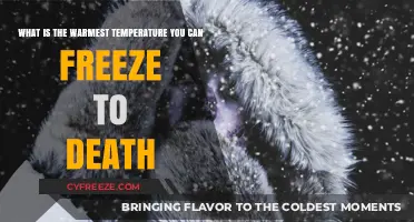 Surviving the Cold: Understanding Hypothermia's Deadly Temperature Threshold
