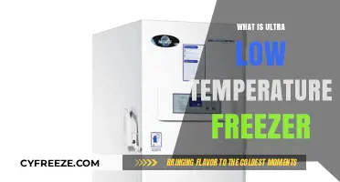 Ultra Low Temperature Freezers: Essential Storage for Scientific Research